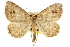  ( - CCDB-20283-A02)  @14 [ ] CreativeCommons - Attribution (2013) CBG Photography Group Centre for Biodiversity Genomics