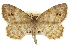  ( - CCDB-20283-A03)  @14 [ ] CreativeCommons - Attribution (2013) CBG Photography Group Centre for Biodiversity Genomics