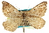  ( - CCDB-20283-A08)  @14 [ ] CreativeCommons - Attribution (2013) CBG Photography Group Centre for Biodiversity Genomics