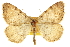  ( - CCDB-20283-B03)  @11 [ ] CreativeCommons - Attribution (2013) CBG Photography Group Centre for Biodiversity Genomics