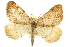  ( - CCDB-20283-B04)  @14 [ ] CreativeCommons - Attribution (2013) CBG Photography Group Centre for Biodiversity Genomics