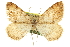  ( - CCDB-20283-B05)  @13 [ ] CreativeCommons - Attribution (2013) CBG Photography Group Centre for Biodiversity Genomics