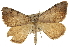  ( - CCDB-20283-B09)  @14 [ ] CreativeCommons - Attribution (2013) CBG Photography Group Centre for Biodiversity Genomics