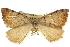  ( - CCDB-20283-B11)  @13 [ ] CreativeCommons - Attribution (2013) CBG Photography Group Centre for Biodiversity Genomics