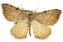  ( - CCDB-20283-B12)  @14 [ ] CreativeCommons - Attribution (2013) CBG Photography Group Centre for Biodiversity Genomics