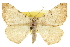  ( - CCDB-20283-C01)  @14 [ ] CreativeCommons - Attribution (2013) CBG Photography Group Centre for Biodiversity Genomics