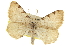  ( - CCDB-20283-C02)  @11 [ ] CreativeCommons - Attribution (2013) CBG Photography Group Centre for Biodiversity Genomics