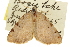  ( - CCDB-20283-C03)  @11 [ ] CreativeCommons - Attribution (2013) CBG Photography Group Centre for Biodiversity Genomics