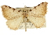  ( - CCDB-20283-C04)  @11 [ ] CreativeCommons - Attribution (2013) CBG Photography Group Centre for Biodiversity Genomics