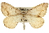  ( - CCDB-20283-D12)  @15 [ ] CreativeCommons - Attribution (2013) CBG Photography Group Centre for Biodiversity Genomics