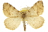  ( - CCDB-20283-E05)  @14 [ ] CreativeCommons - Attribution (2013) CBG Photography Group Centre for Biodiversity Genomics