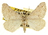  ( - CCDB-20283-E11)  @14 [ ] CreativeCommons - Attribution (2013) CBG Photography Group Centre for Biodiversity Genomics