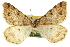  ( - CCDB-20283-F07)  @13 [ ] CreativeCommons - Attribution (2013) CBG Photography Group Centre for Biodiversity Genomics