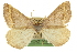  ( - CCDB-20283-G05)  @14 [ ] CreativeCommons - Attribution (2013) CBG Photography Group Centre for Biodiversity Genomics