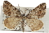  ( - CCDB-20283-H04)  @14 [ ] CreativeCommons - Attribution (2013) CBG Photography Group Centre for Biodiversity Genomics
