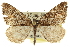  ( - CCDB-20283-H05)  @13 [ ] CreativeCommons - Attribution (2013) CBG Photography Group Centre for Biodiversity Genomics
