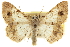  ( - CCDB-20801-C03)  @11 [ ] CreativeCommons - Attribution (2013) CBG Photography Group Centre for Biodiversity Genomics