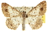  ( - CCDB-20801-C04)  @11 [ ] CreativeCommons - Attribution (2013) CBG Photography Group Centre for Biodiversity Genomics