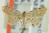  ( - CCDB-20264-A04)  @13 [ ] CreativeCommons - Attribution (2013) CBG Photography Group Centre for Biodiversity Genomics