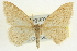 ( - CCDB-20264-C08)  @14 [ ] CreativeCommons - Attribution (2013) CBG Photography Group Centre for Biodiversity Genomics