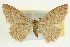  ( - CCDB-20264-C11)  @14 [ ] CreativeCommons - Attribution (2013) CBG Photography Group Centre for Biodiversity Genomics