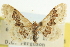  ( - CCDB-20264-D05)  @14 [ ] CreativeCommons - Attribution (2013) CBG Photography Group Centre for Biodiversity Genomics