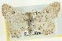  ( - CCDB-20264-E11)  @13 [ ] CreativeCommons - Attribution (2013) CBG Photography Group Centre for Biodiversity Genomics