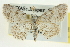  ( - CCDB-20264-E12)  @13 [ ] CreativeCommons - Attribution (2013) CBG Photography Group Centre for Biodiversity Genomics