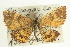 ( - CCDB-20264-F01)  @14 [ ] CreativeCommons - Attribution (2013) CBG Photography Group Centre for Biodiversity Genomics