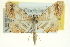  ( - CCDB-20264-F04)  @13 [ ] CreativeCommons - Attribution (2013) CBG Photography Group Centre for Biodiversity Genomics