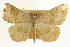  ( - CCDB-20264-G06)  @13 [ ] CreativeCommons - Attribution (2013) CBG Photography Group Centre for Biodiversity Genomics