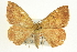  ( - CCDB-20264-G10)  @14 [ ] CreativeCommons - Attribution (2013) CBG Photography Group Centre for Biodiversity Genomics