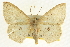  ( - CCDB-20264-H04)  @11 [ ] CreativeCommons - Attribution (2013) CBG Photography Group Centre for Biodiversity Genomics