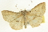  ( - CCDB-20264-H05)  @11 [ ] CreativeCommons - Attribution (2013) CBG Photography Group Centre for Biodiversity Genomics