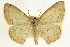 ( - CCDB-20264-H07)  @11 [ ] CreativeCommons - Attribution (2013) CBG Photography Group Centre for Biodiversity Genomics