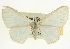  ( - CCDB-20264-H11)  @11 [ ] CreativeCommons - Attribution (2013) CBG Photography Group Centre for Biodiversity Genomics