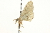  ( - CCDB-20270-D02)  @11 [ ] CreativeCommons - Attribution (2013) CBG Photography Group Centre for Biodiversity Genomics