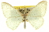  ( - CCDB-20263-A09)  @11 [ ] CreativeCommons - Attribution (2013) CBG Photography Group Centre for Biodiversity Genomics