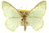  ( - CCDB-20263-A10)  @11 [ ] CreativeCommons - Attribution (2013) CBG Photography Group Centre for Biodiversity Genomics