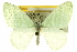  ( - CCDB-20263-A12)  @11 [ ] CreativeCommons - Attribution (2013) CBG Photography Group Centre for Biodiversity Genomics