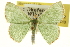  ( - CCDB-20263-B02)  @15 [ ] CreativeCommons - Attribution (2013) CBG Photography Group Centre for Biodiversity Genomics