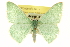  ( - CCDB-20263-C10)  @14 [ ] CreativeCommons - Attribution (2013) CBG Photography Group Centre for Biodiversity Genomics