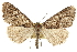  ( - CCDB-20808-A01)  @14 [ ] CreativeCommons - Attribution (2013) CBG Photography Group Centre for Biodiversity Genomics
