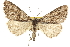  ( - CCDB-20808-A02)  @14 [ ] CreativeCommons - Attribution (2013) CBG Photography Group Centre for Biodiversity Genomics
