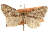  ( - CCDB-20808-A04)  @14 [ ] CreativeCommons - Attribution (2013) CBG Photography Group Centre for Biodiversity Genomics