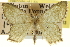  ( - CCDB-20263-E04)  @11 [ ] CreativeCommons - Attribution (2013) CBG Photography Group Centre for Biodiversity Genomics