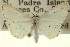  ( - CCDB-20265-A08)  @11 [ ] CreativeCommons - Attribution (2013) CBG Photography Group Centre for Biodiversity Genomics