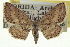  ( - CCDB-20265-B01)  @11 [ ] CreativeCommons - Attribution (2013) CBG Photography Group Centre for Biodiversity Genomics