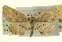  ( - CCDB-20265-B02)  @11 [ ] CreativeCommons - Attribution (2013) CBG Photography Group Centre for Biodiversity Genomics