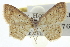  ( - CCDB-20265-B07)  @11 [ ] CreativeCommons - Attribution (2013) CBG Photography Group Centre for Biodiversity Genomics